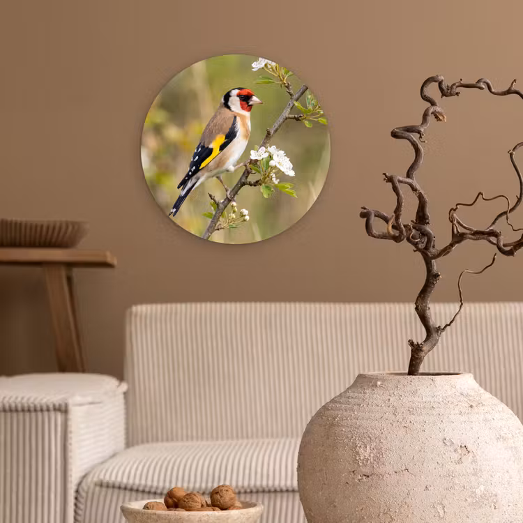 Putter - Bloesem - Lente - Natuur - Kleurrijk Wandcirkel kunststof plaat 5mm dik klein -sfeer1