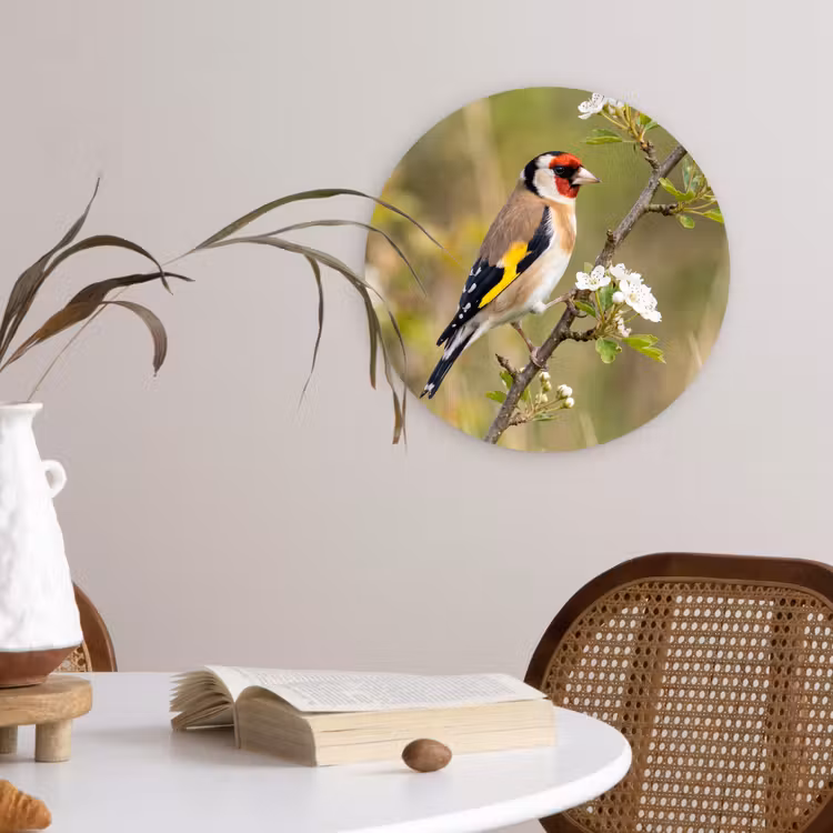 Putter - Bloesem - Lente - Natuur - Kleurrijk Wandcirkel kunststof plaat 5mm dik klein -sfeer4