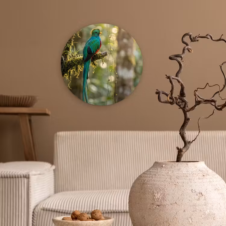 Quetzal - Jungle - Natuur - Groen Wandcirkel kunststof plaat 5mm dik klein -sfeer1