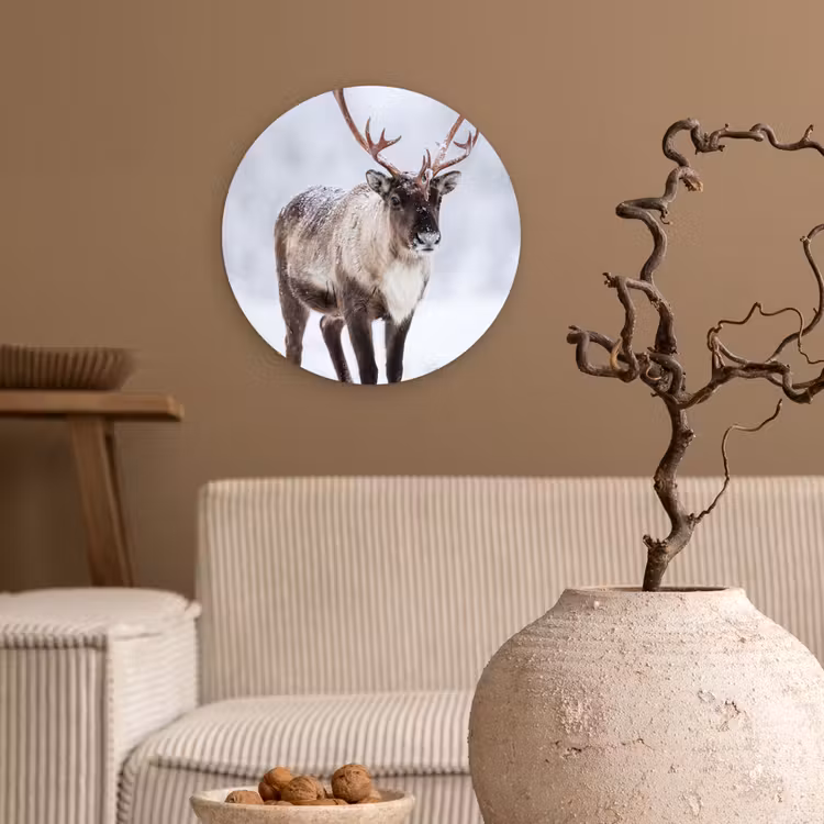 Rendier - Gewei - Toendra - Sneeuw - Wild Wandcirkel kunststof plaat 5mm dik klein -sfeer1