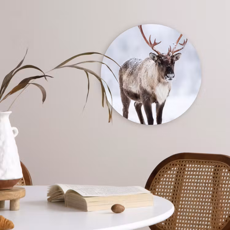 Rendier - Gewei - Toendra - Sneeuw - Wild Wandcirkel kunststof plaat 5mm dik klein -sfeer4