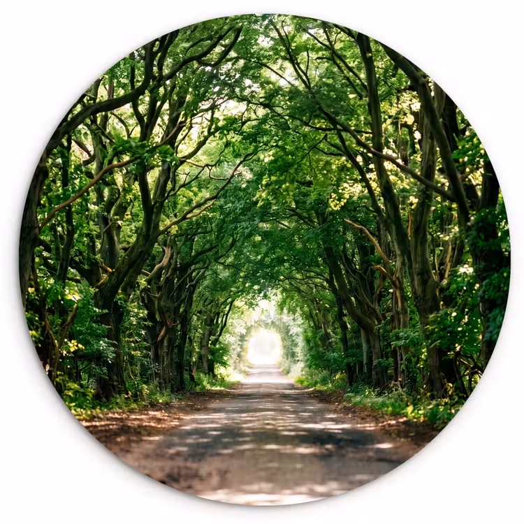 Weg - Bomen - Natuur - Groen Wandcirkel kunststof plaat 5mm dik klein -3d