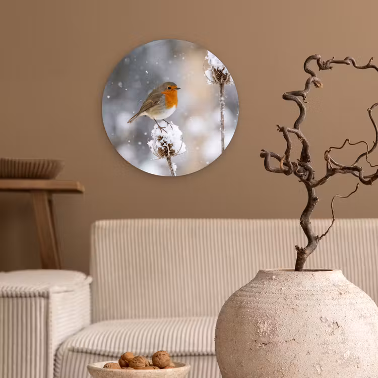 Roodborstje - Gedroogde bloem - Sneeuw - Winter - Vertederend Wandcirkel kunststof plaat 5mm dik klein -sfeer1