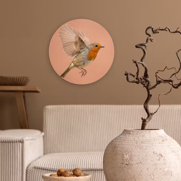 Roodborst - Natuur - Roze Wandcirkel kunststof plaat 5mm dik klein -sfeer1