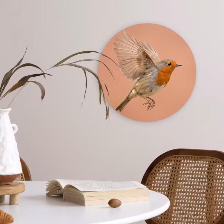 Roodborst - Natuur - Roze Wandcirkel kunststof plaat 5mm dik klein -sfeer4