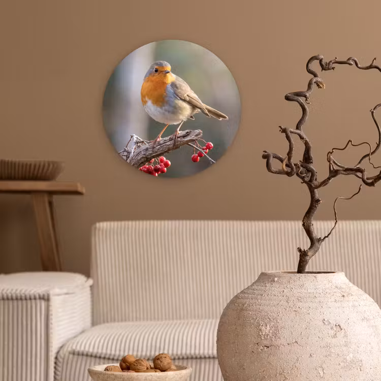 Roodborst - Tak - Bessen - Natuur Wandcirkel kunststof plaat 5mm dik klein -sfeer1