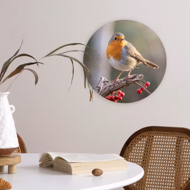Roodborst - Tak - Bessen - Natuur Wandcirkel kunststof plaat 5mm dik klein -sfeer4