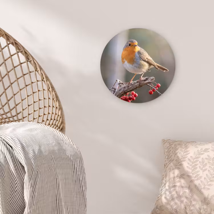 Roodborst - Tak - Bessen - Natuur Wandcirkel kunststof plaat 5mm dik klein -sfeer5