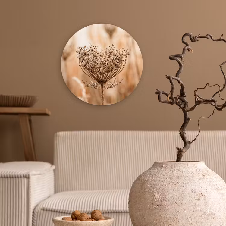 Schermbloem - Droogbloem - Winter - Beige - Minimalistisch Wandcirkel kunststof plaat 5mm dik klein -sfeer1