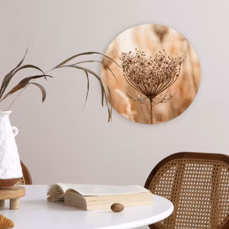 Schermbloem - Droogbloem - Winter - Beige - Minimalistisch Wandcirkel kunststof plaat 5mm dik klein -sfeer4