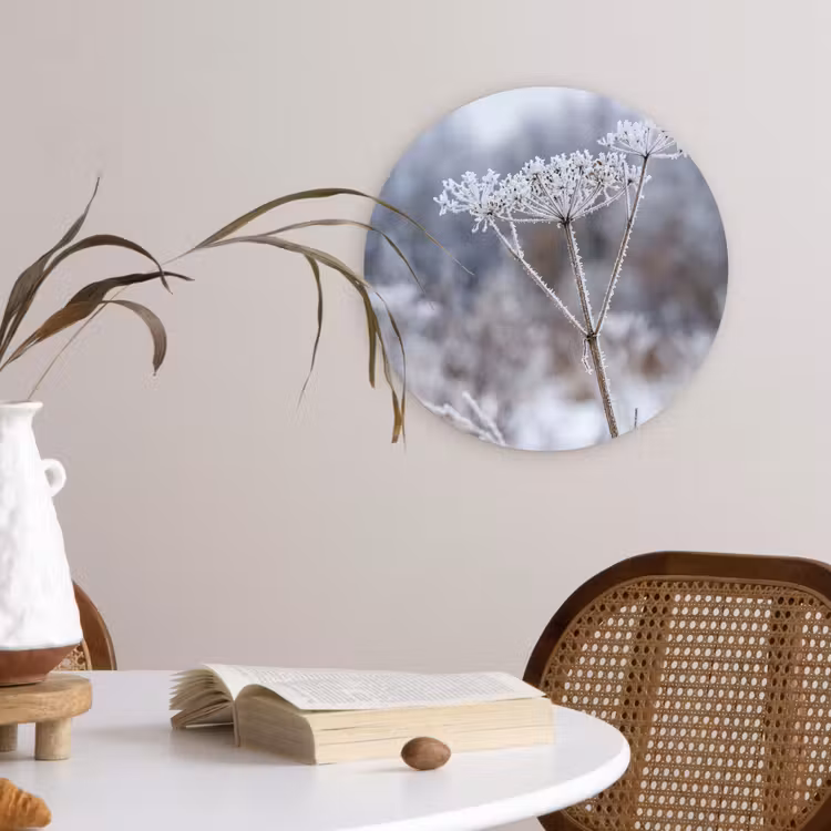 Schermbloem - Rijp - Kristallen - Winter - Delicaat Wandcirkel kunststof plaat 5mm dik klein -sfeer4