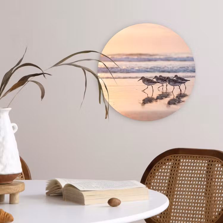 Zee - Vogels - Strand Wandcirkel kunststof plaat 5mm dik klein -sfeer4