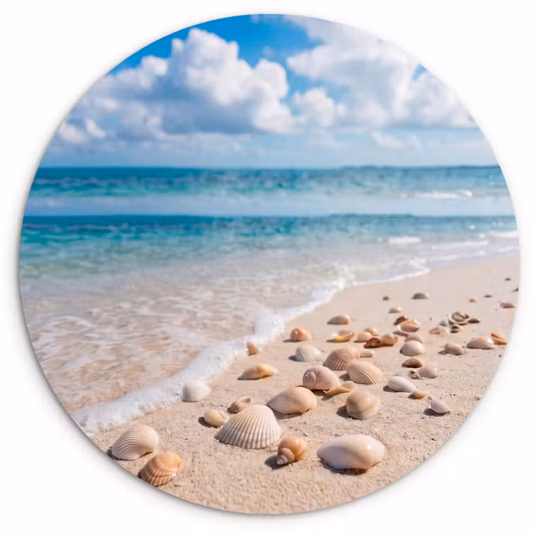 Schelpen - Strand - Natuur - Beige Wandcirkel kunststof plaat 5mm dik klein -3d