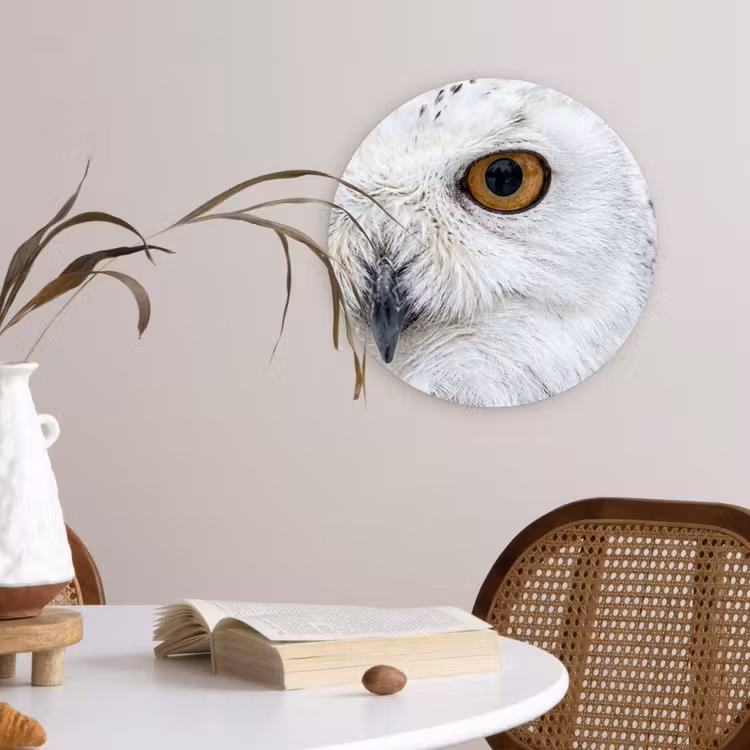 Sneeuwuil - Oog - Wildlife - Wit Wandcirkel kunststof plaat 5mm dik klein -sfeer4