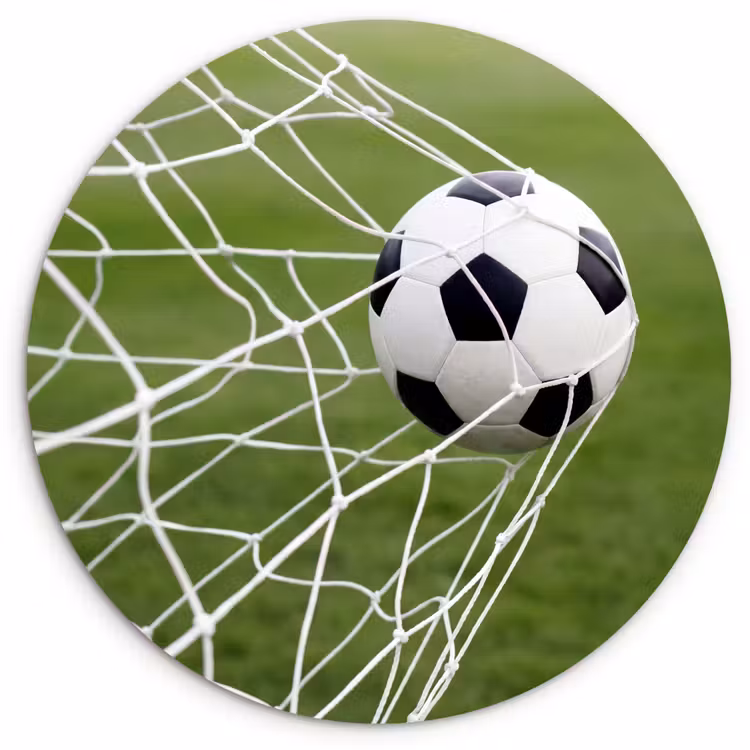 Voetbal - Goal - Net - Sport Wandcirkel kunststof plaat 5mm dik klein -3d
