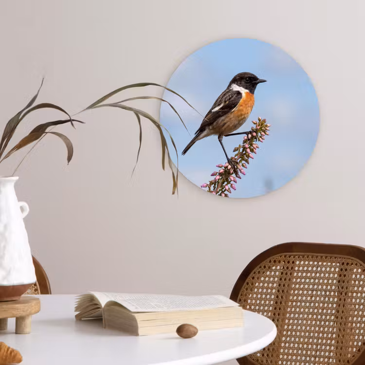 Roodborsttapuit - Heide - Paars - Natuur - Sfeervol Wandcirkel kunststof plaat 5mm dik klein -sfeer4