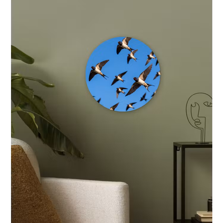 Zwaluwen - Vliegen - Blauw Wandcirkel kunststof plaat 5mm dik klein -sfeer3