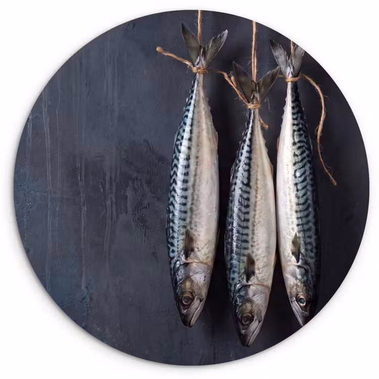 round wall art - Three Fish - Rope - Drie vissen - Touw Wandcirkel kunststof plaat 5mm dik klein