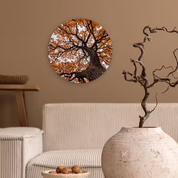 Boom - Bladerdak - Herfst - Oranje - Sfeervol Wandcirkel kunststof plaat 5mm dik klein -sfeer1