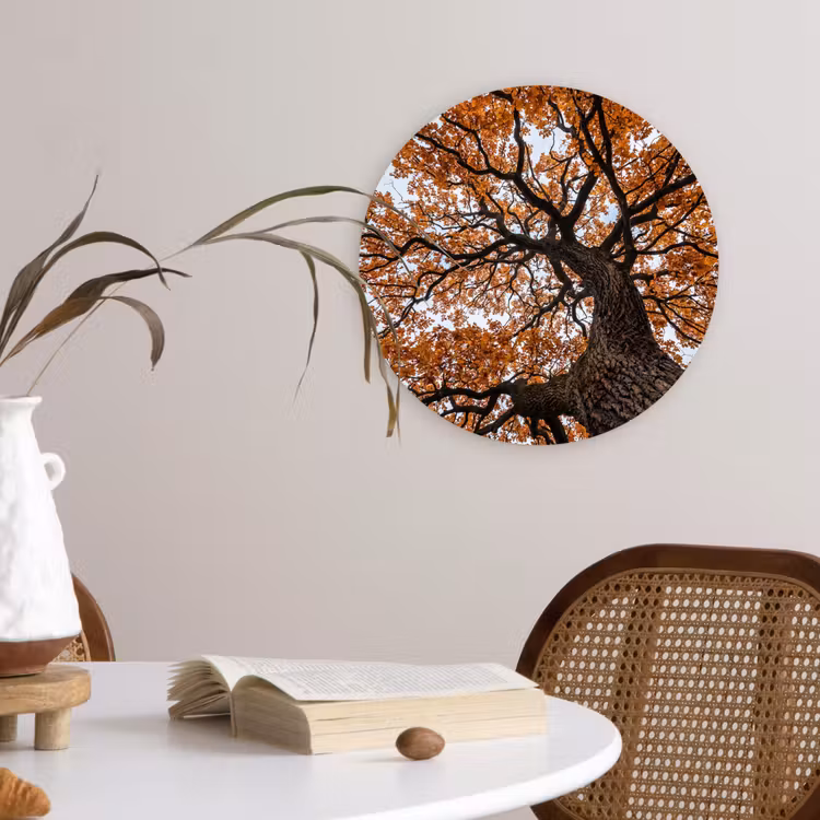 Boom - Bladerdak - Herfst - Oranje - Sfeervol Wandcirkel kunststof plaat 5mm dik klein -sfeer4