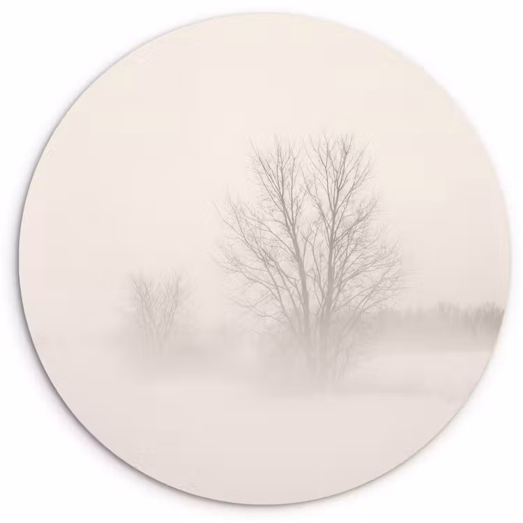 Boom - Mist - Sneeuw - Winter - Minimalistisch Wandcirkel kunststof plaat 5mm dik klein -3d