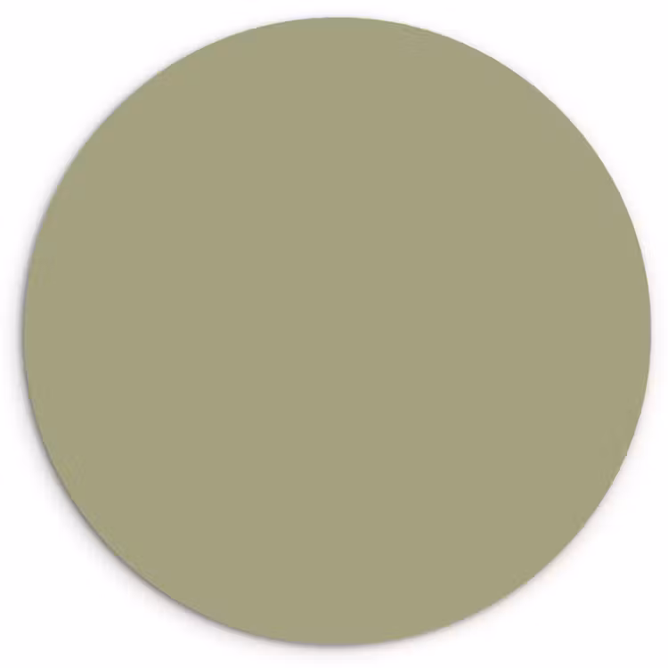 Vintage - Sage - Groen Wandcirkel kunststof plaat 5mm dik klein 188 -3d