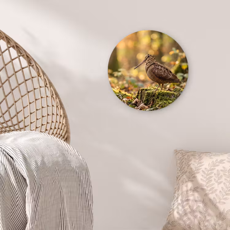 Houtsnip - Bos - Bladeren - Herfst - Gecamoufleerd Wandcirkel kunststof plaat 5mm dik klein -sfeer5