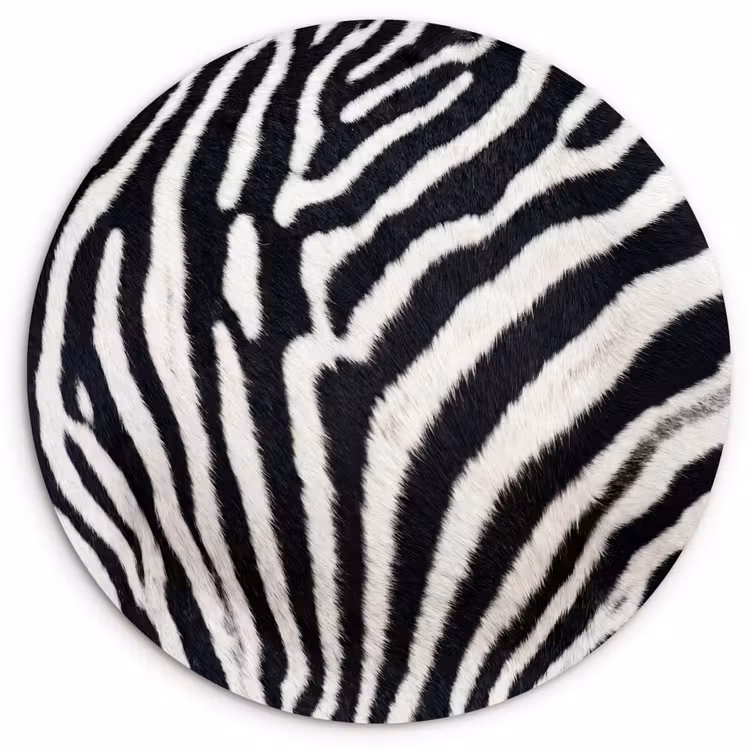 Zebra - Vacht - Klassiek - Zwart - Wit Wandcirkel kunststof plaat 5mm dik klein -3d