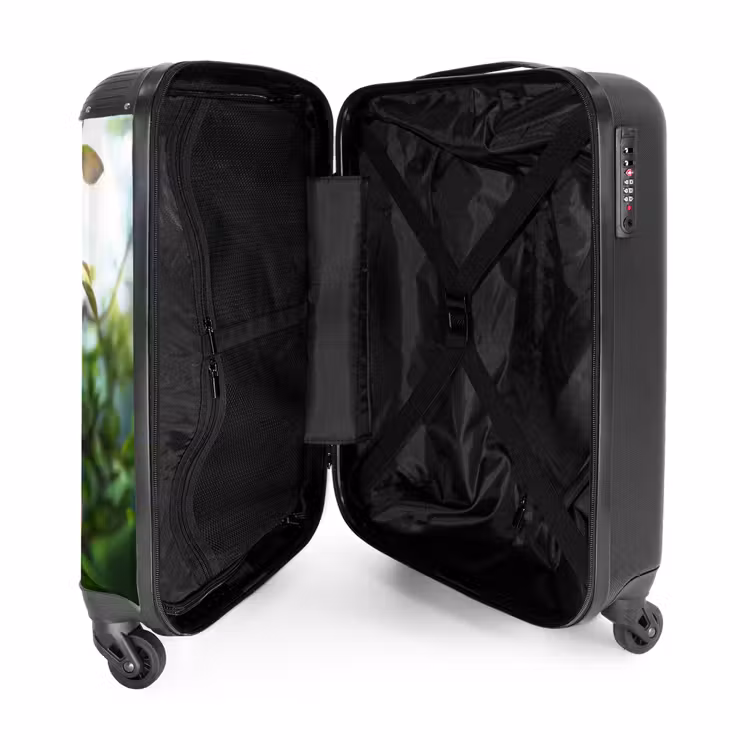 Alex aapje NBS - Handbagage koffer - Unisex middel -binnenkant