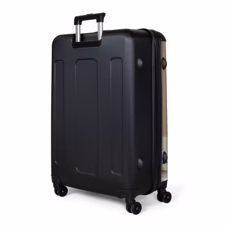 Bad - Hond - Boek - Zonnebril NBS - Handbagage koffer - Volwassenen Unisex middel -slot