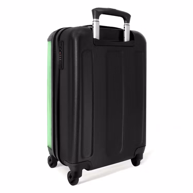 Kaketoehoorntje NBS - Handbagage koffer - Unisex middel -achterkant