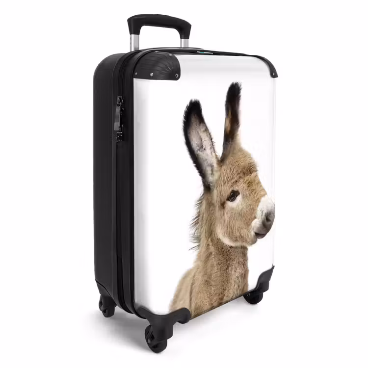 Eddy Ezel NBS - Handbagage koffer - Unisex middel -productfoto_3d