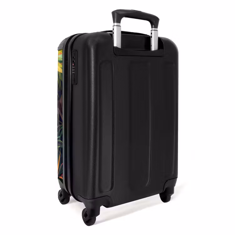 Ferry flamingo NBS - Handbagage koffer - Unisex middel -achterkant