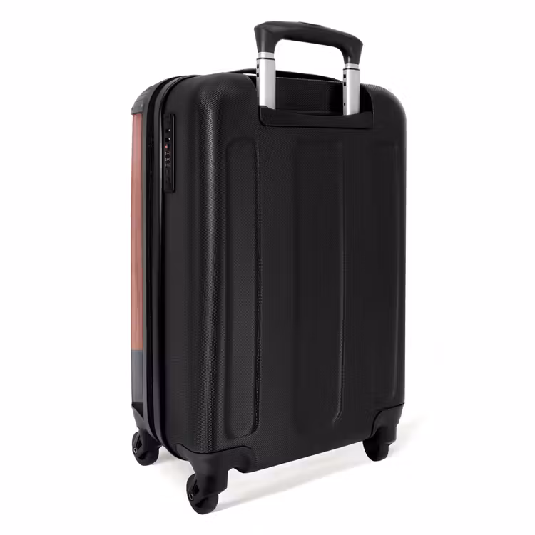 Illustratie - Vogel - Vlakken - Kleurrijk NBS - Handbagage koffer - Volwassenen Unisex middel -achterkant