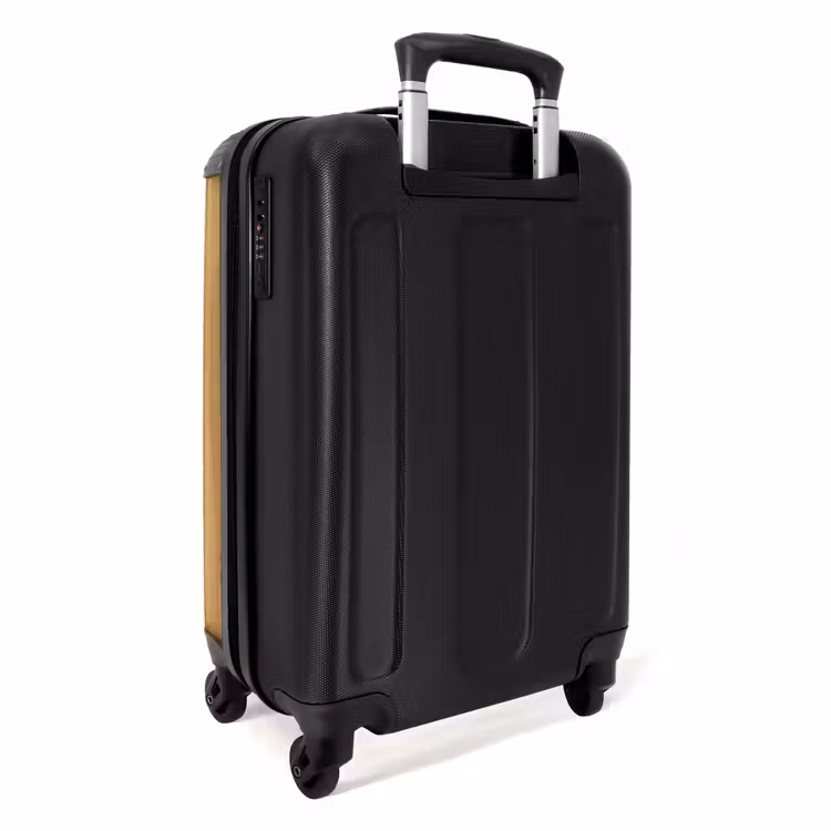 Leo leeuw NBS - Handbagage koffer - Unisex middel -achterkant