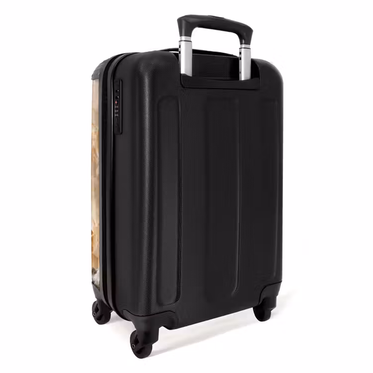 18 NBS - Handbagage koffer - Unisex middel -achterkant