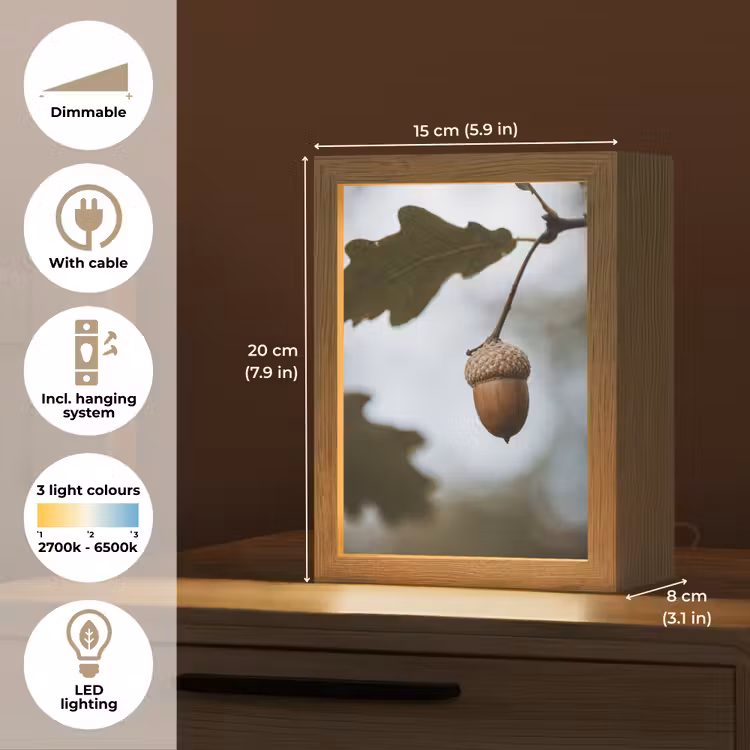 Eikel - Eikenblad - Bos - Herfst - Natuur Light Box met kabel (Tafellamp) klein -USP_EN