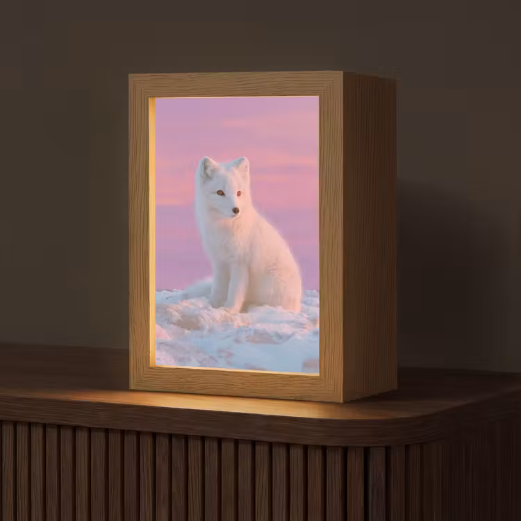 Poolvos - Sneeuw - Roze Light Box met kabel (Tafellamp) klein -z3d_website