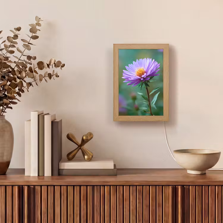 Aster - Paars - Bloem - Blaadjes Light Box met kabel (Tafellamp) klein -sfeer2
