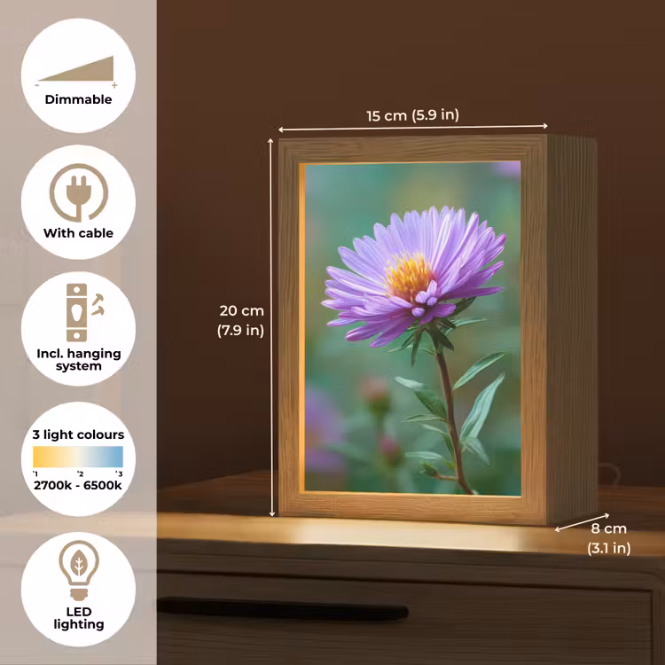Aster - Paars - Bloem - Blaadjes Light Box met kabel (Tafellamp) klein -USP_EN