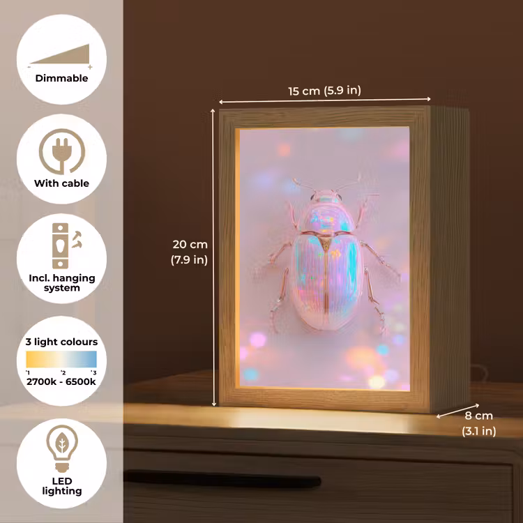 Kever - Metallic - Lichteffect - Roze Light Box met kabel (Tafellamp) klein -USP_EN