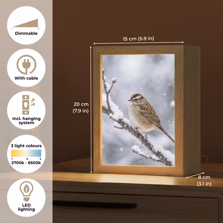 Vogel - Tak - Sneeuw - Winter Light Box met kabel (Tafellamp) klein -USP_EN