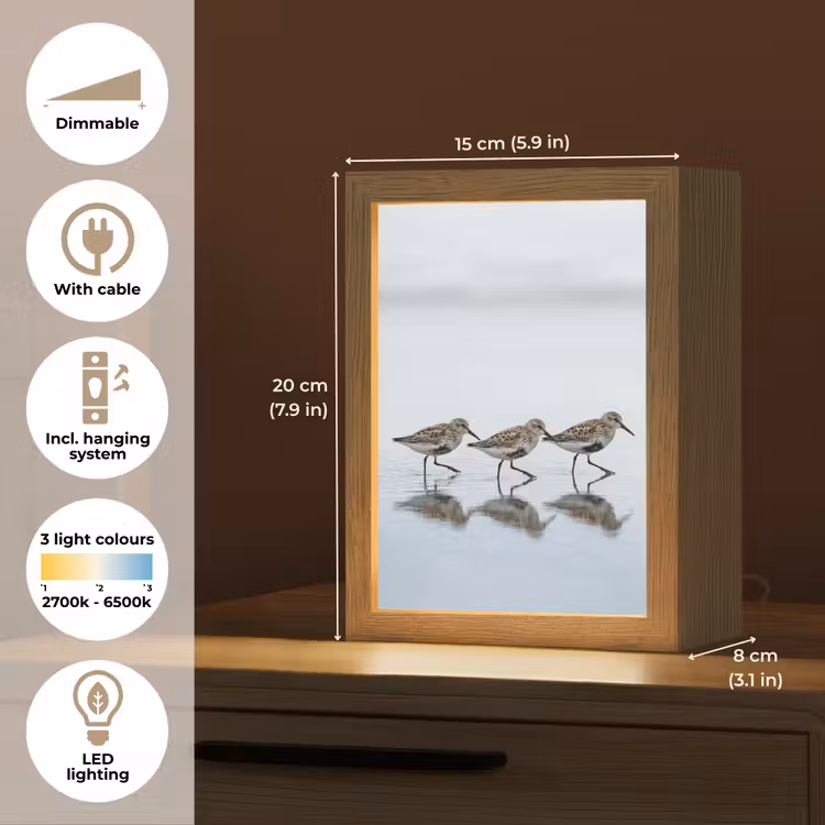 Vogels - Water - Grijs Light Box met kabel (Tafellamp) klein -USP_EN