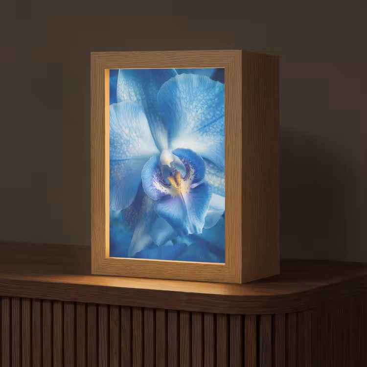 Blauw - Orchidee - Elegeant Light Box met kabel (Tafellamp) klein -z3d_website