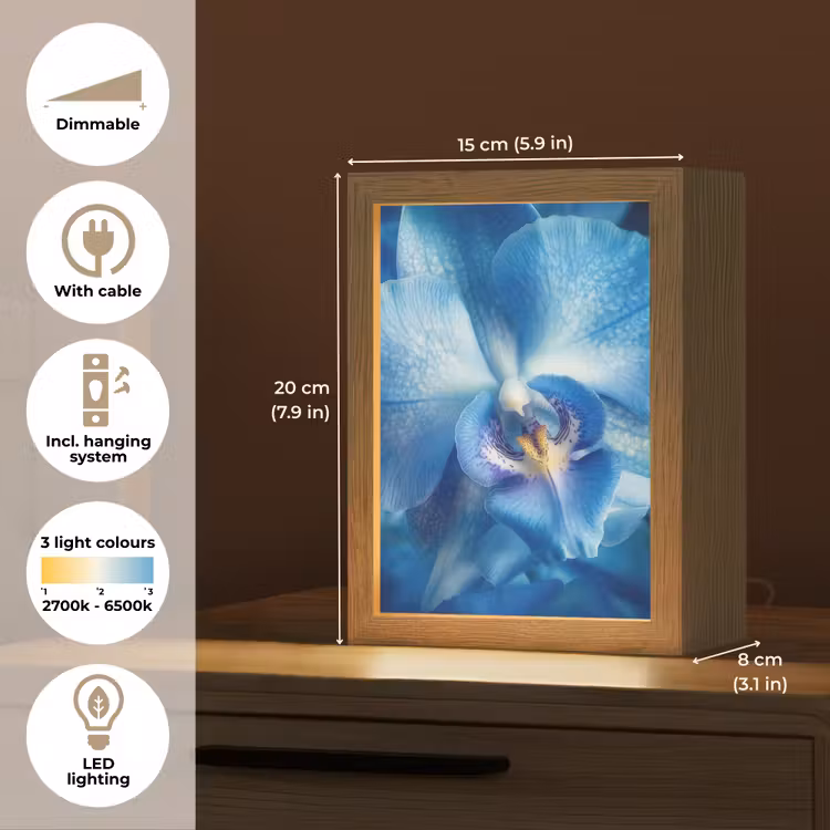 Blauw - Orchidee - Elegeant Light Box met kabel (Tafellamp) klein -USP_EN