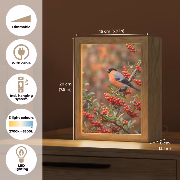 Goudvink - Bessen - Herfst - Natuur - Kleurrijk Light Box met kabel (Tafellamp) klein -USP_EN