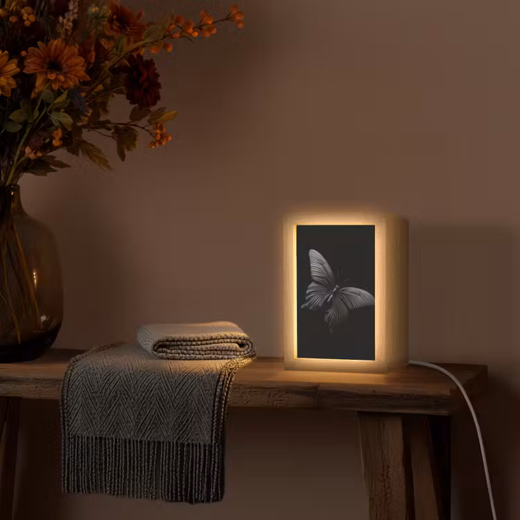 Vlinder - Zwart - Insect - Dieren Light Box met kabel (Tafellamp) klein -sfeer4