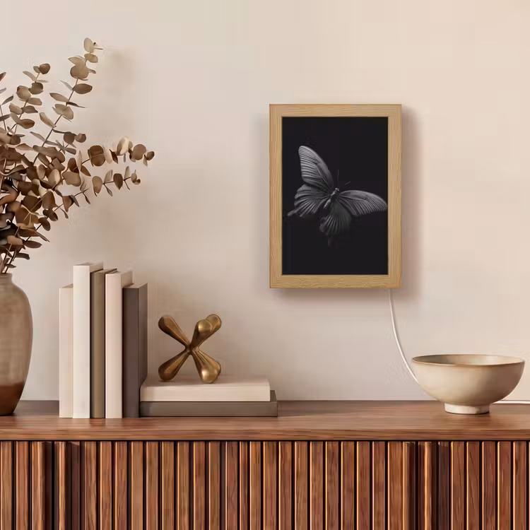 Vlinder - Zwart - Insect - Dieren Light Box met kabel (Tafellamp) klein -sfeer2