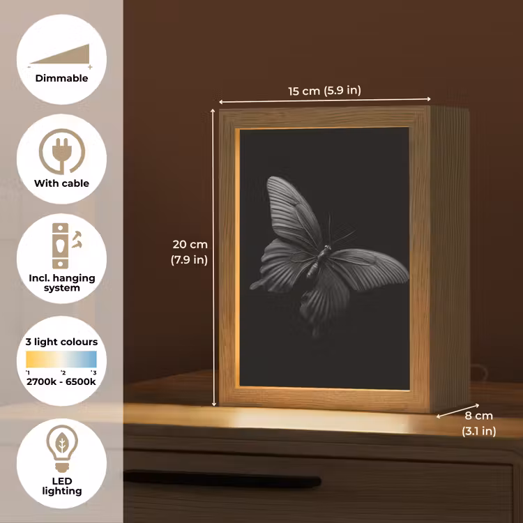 Vlinder - Zwart - Insect - Dieren Light Box met kabel (Tafellamp) klein -USP_EN