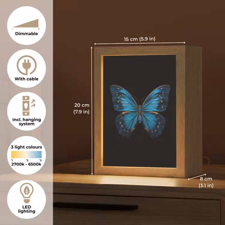Vlinder - Blauw - Contrast Light Box met kabel (Tafellamp) klein -USP_EN